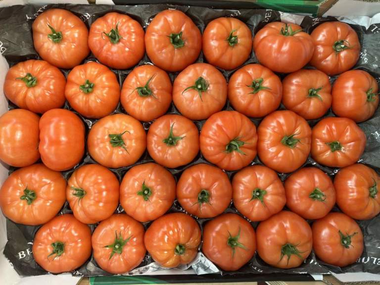 pomodori