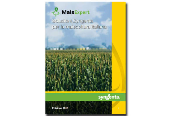 syngenta