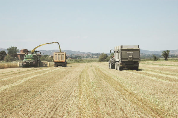 In estate l’azienda è stata una delle poche che ha potuto provare la nuova trincia 8800 di John Deere.
