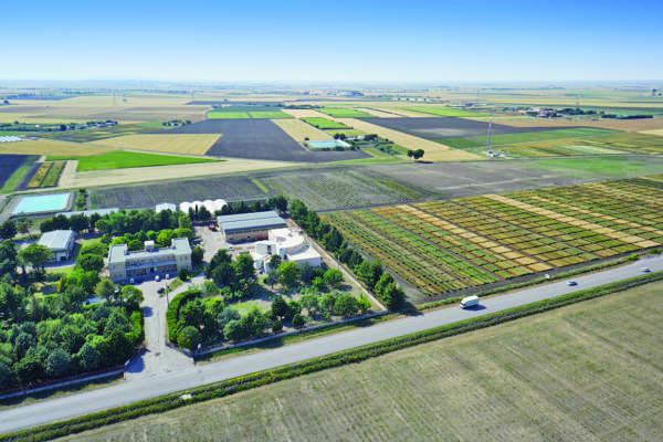 Nova Agricoltura Foggia
