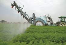 Irroratrice Ideal Poly Super T