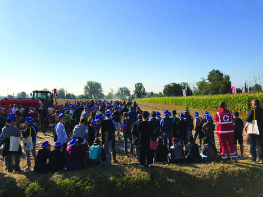 Nova Agricoltura Mais