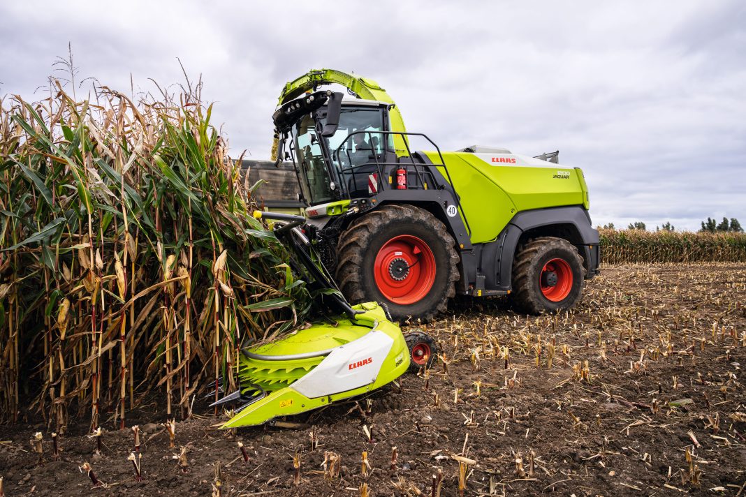 Claas jaguar 1000 al lavoro su mais