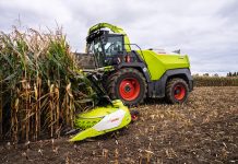 Claas jaguar 1000 al lavoro su mais