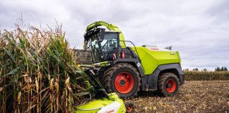 Claas jaguar 1000 al lavoro su mais