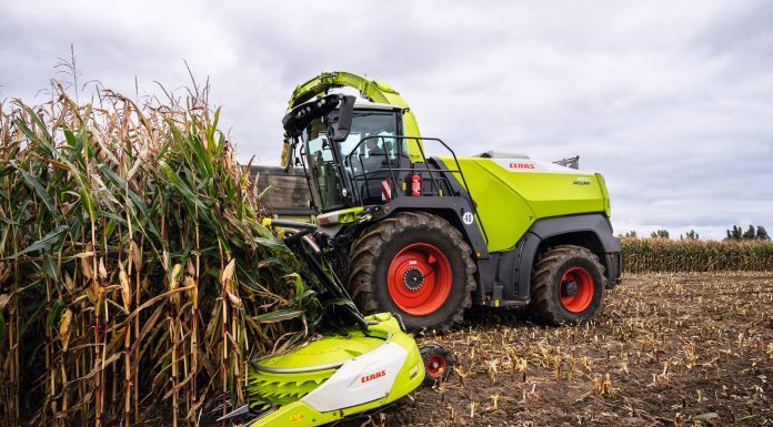 Claas jaguar 1000 al lavoro su mais