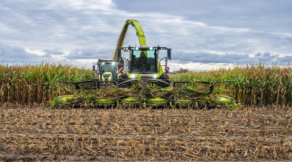 Barra Claas Orbis da 14 file al lavoro con mais
