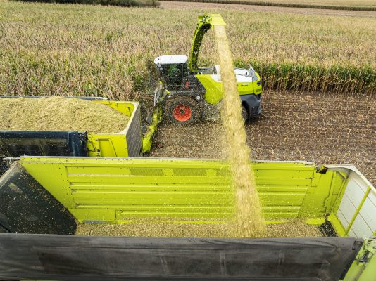 Scarico trinciato su camion Claas Jaguar
