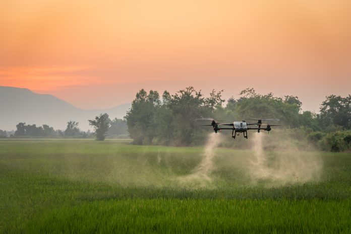 Smart farm with drone, Agriculture drone fly to sprayed fertilizer on the rice fields in the evening.