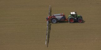 Tanto tuonò che piovve