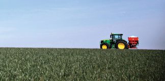 Dal Governo 113 milioni di euro in più per investimenti in agricoltura