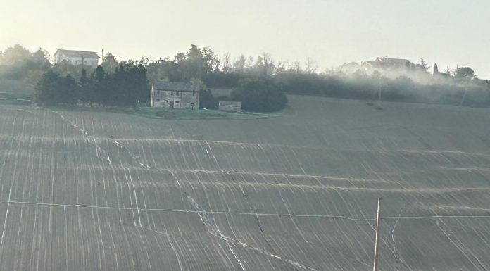 Rispetto della Bcaa 6: il satellite non perdona