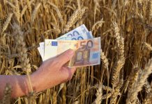 Saldi Pac per il 2025, gli importi provvisori