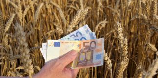 Saldi Pac per il 2025, gli importi provvisori