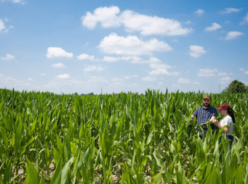 Kws Italia lancia #MORE