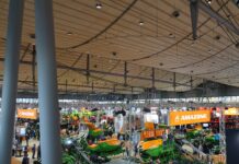 Amazone chiude il 2025 al di sopra delle aspettative