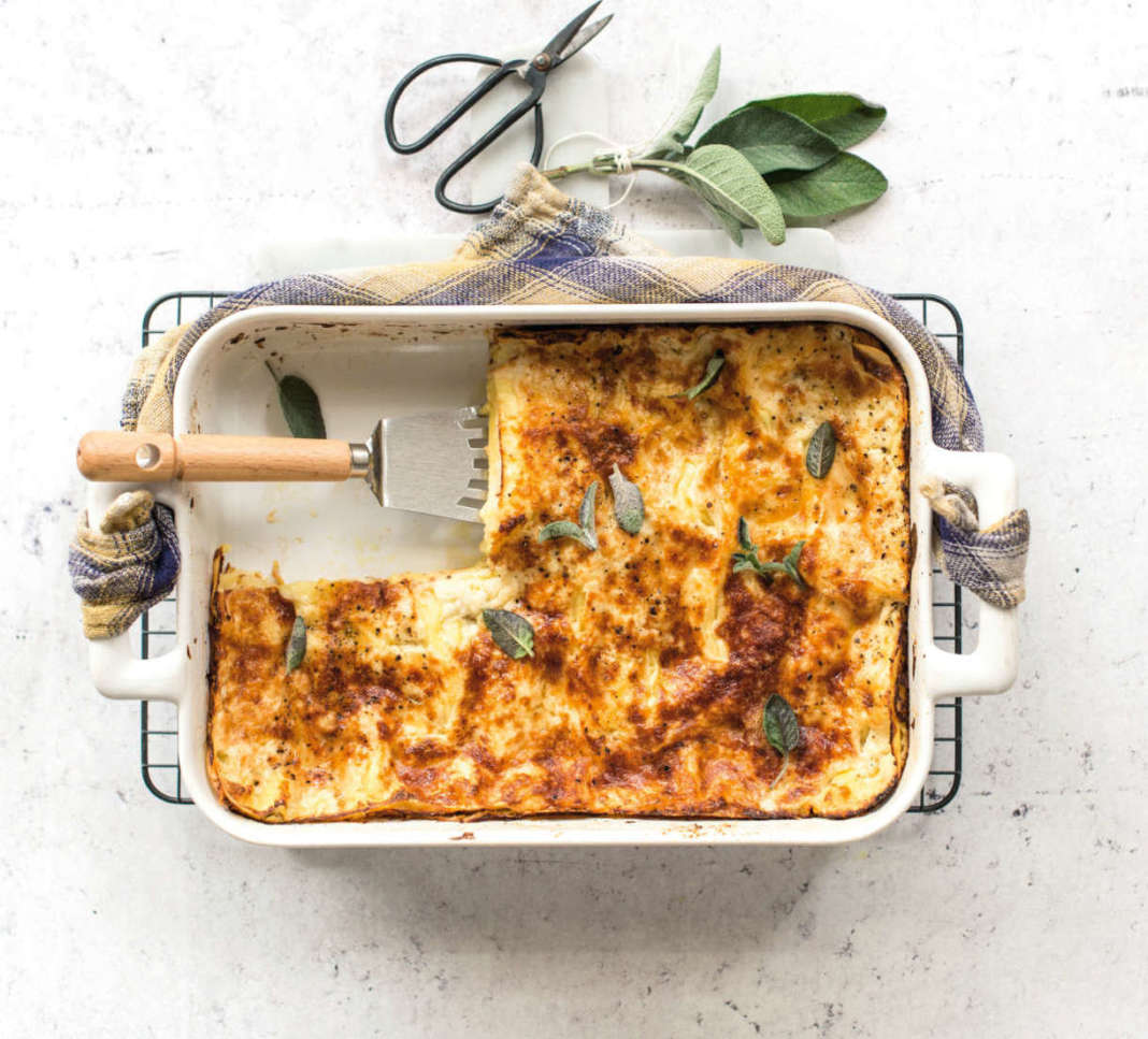 lasagne