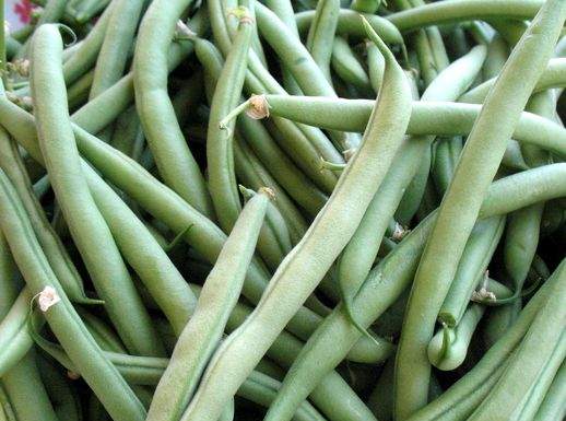 Fagiolini crudi 518