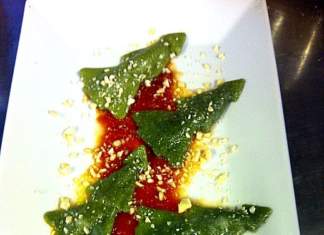 Alberelli vegan Melania 518