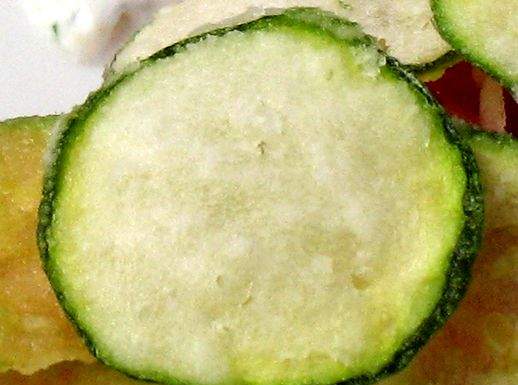 Fetta zucchina fritta 518