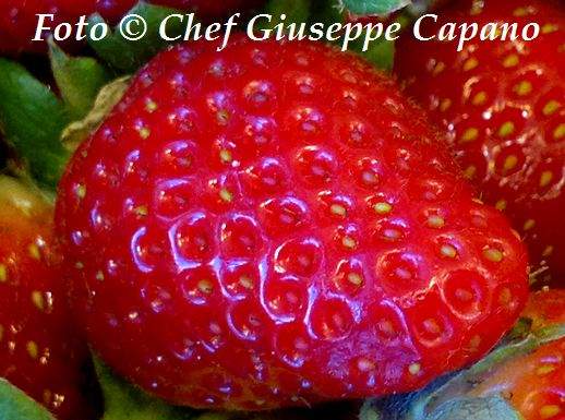 Fragole per tutti i gusti Fragola singola 518