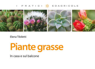 Piante grasse