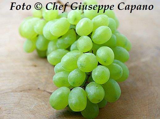 L’uva nel prossimo numero della rivista Uva - festambiente 2016 518