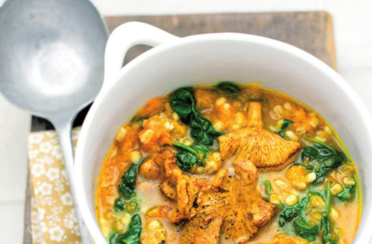 19962Fminestrazuccaeorzo-1