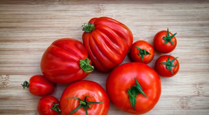 Pomodori: frigo o non frigo?