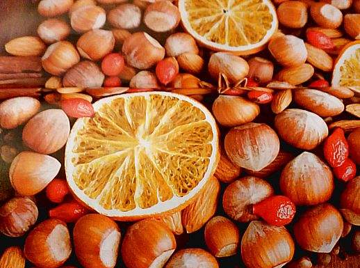 frutta-secca-rivista-12-2016-518