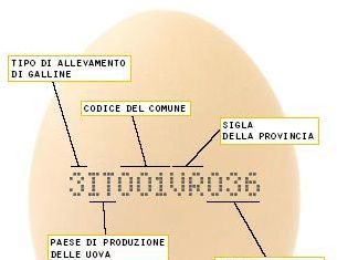 Queste uova sono italiane? È scritto sul guscio