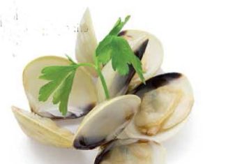 Vitamina B12: mai più senza