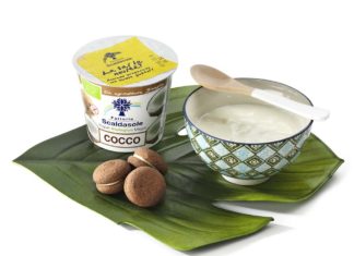 Nuovo yogurt bio magro al cocco