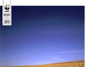 Il circolo vizioso tra cibo e clima