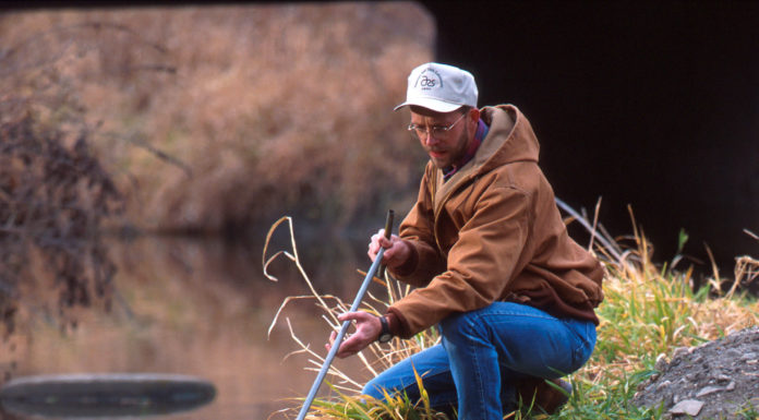 Biologica o convenzionale: qual è l’agricoltura più sostenibile?