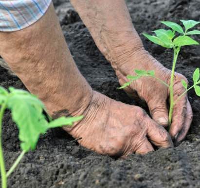 Formazione in agricoltura biologica per i detenuti del carcere di Bologna