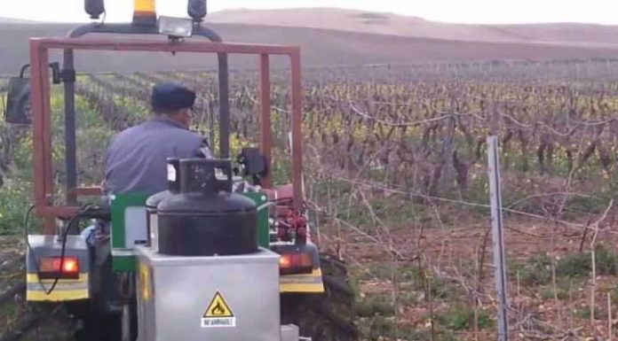 Le prospettive per i mezzi tecnici per l’agricoltura biologica e biodinamica in Europa