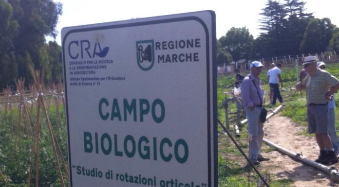 Quali ricerche per gli agricoltori biologici?