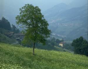 “L’agricoltura biologica conviene: perché?”