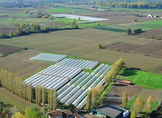 Iris: agricoltura biologica dal 1978