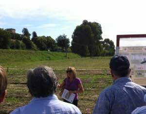 “OK-Net Arable” lancia un sondaggio per divulgatori del settore bio