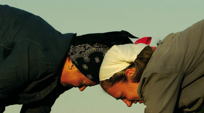 “Semi al vento”: due giorni sull’agricoltura contadina