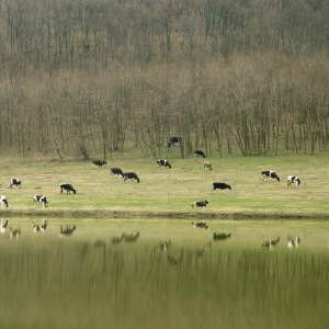 informabio-0._federbio_e_piano