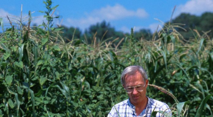 “Bene attivazione al CREA di un coordinamento per la ricerca bio”