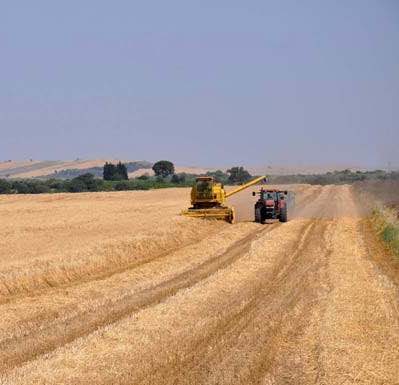FederBio: “Disarticolata una frode nel settore biologico”