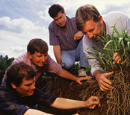 Istituito un Gruppo di esperti in agricoltura biologica