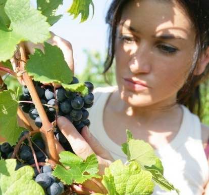 Lombardia: è laureato un produttore bio su quattro