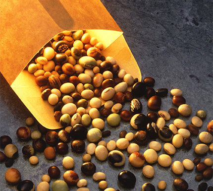 Il Governo vieti la coltivazione di Ogm