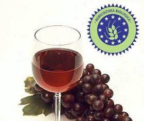 Quale futuro per il vino bio?