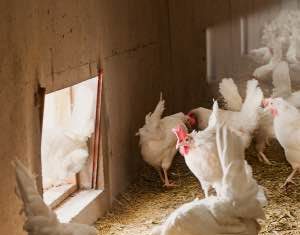 107 Associazioni europee chiedono una valutazione dell’efficacia della PAC